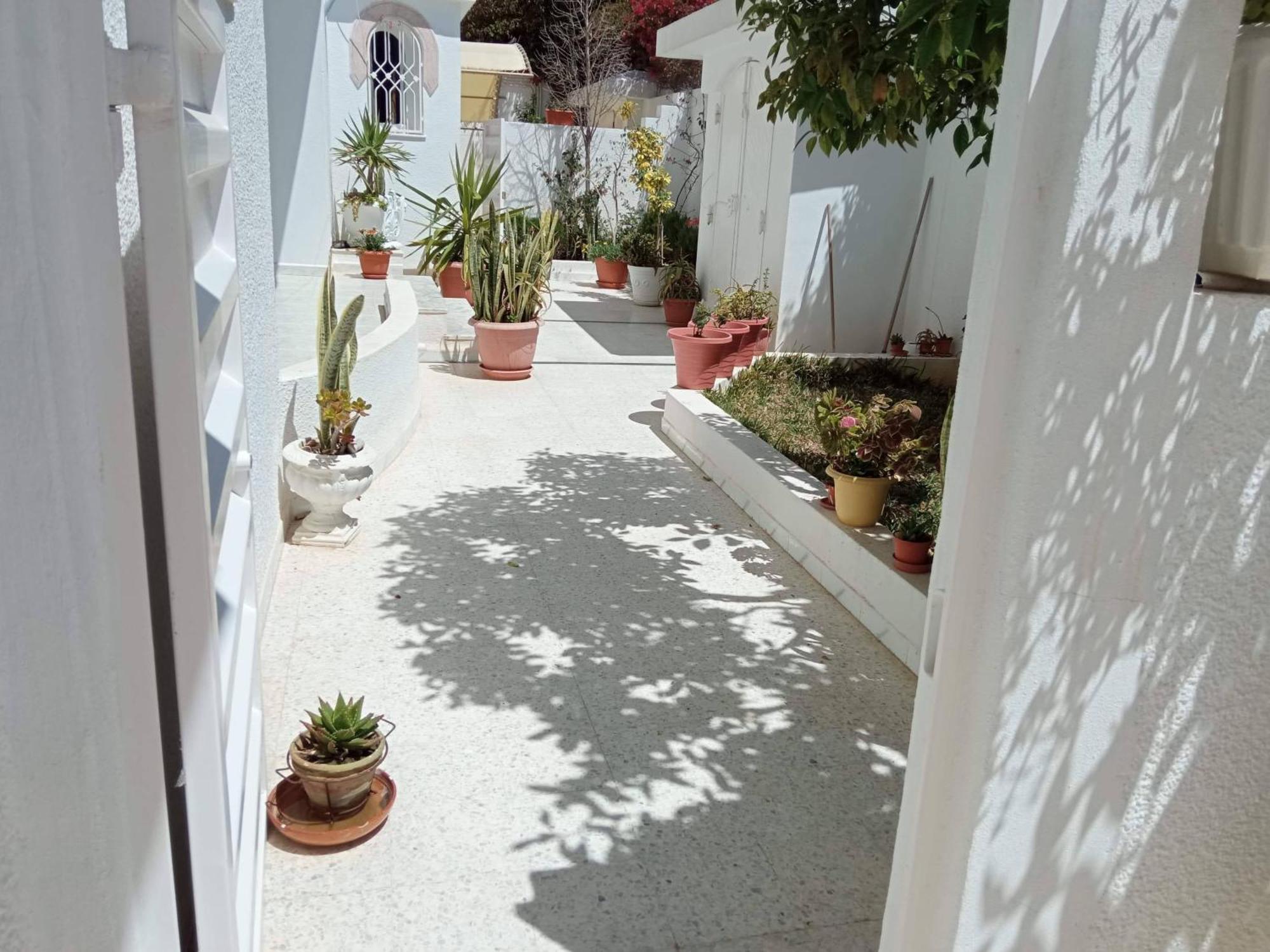Appartements De Luxe Pres De La Mer Nabeul Buitenkant foto